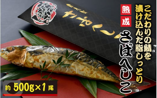 
＜魚屋さんの宿＞こだわりの鯖を漬け込んだ、脂しっとり熟成さばへしこ 約500g × 1尾 [A-12701]
