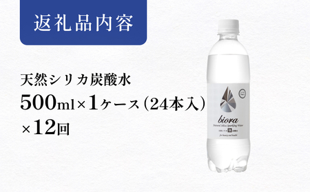 biora天然シリカ炭酸水 500ml×24本×12回 炭酸水 シリカ ミネラル 美容 飲料水 軟水 天然水 大分県 玖珠町 健康 九州 採水 防災 備蓄 定期便 500ml 72mg/l 硬度43.