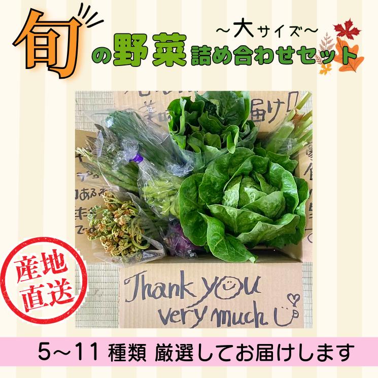 【期間限定】旬の野菜詰め合わせセット（大）(I-2)