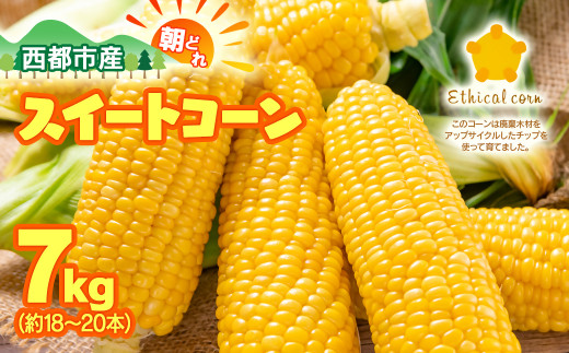 初夏の味覚! 朝どれ スイートコーン ゴールドラッシュ7kg＜1.2-24＞西都市産とうもろこし【先行予約】★