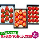 【ふるさと納税】【3か月連続定期便】にべさんちの苺 熊本県産 イチゴ 食べ比べ 定期便 かおり野 桃薫 空音 全3回 3ヶ月 定期配送 果物 くだもの 果実 フルーツ 冷蔵 九州 熊本県 送料無料 【2025年1月下旬発送開始】