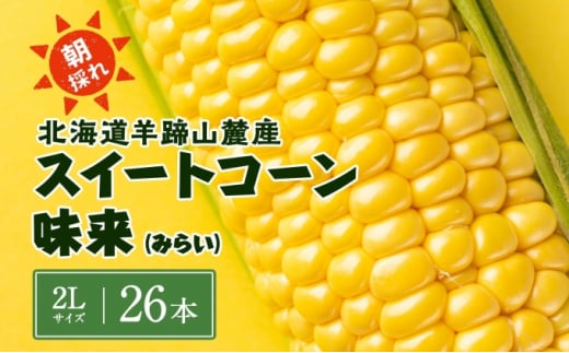 
北海道 スイートコーン 味来 約10kg 2Lサイズ 計26本 とうもろこし とうきび コーン 新鮮 採れたて 産直 JAようてい 送料無料 北海道 倶知安町
