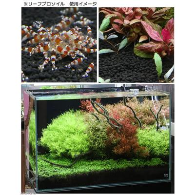 ふるさと納税 邑楽町 リーフプロソイル パウダー 8L×3袋 株式会社チャーム charm|09_chm-do0301b |  | 03