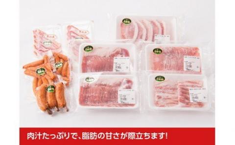 尾鈴豚おすすめセット 【 肉 豚肉 国産 九州産 宮崎県産 豚しゃぶ カツ 焼肉 バーベキュー バラエティ セット 】