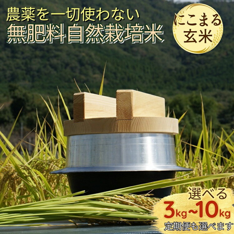 【ふるさと納税】米 令和7年産 自然栽培米 にこまる ＜農薬を一切使わない無肥料栽培＞ 玄米 3kg 5kg 8kg 10kg 選べる 1回 3回 6回 10回 3ヶ月 6ヶ月 10ヶ月 定期便 《京都丹波産 無農薬米栽培向き 厳選品種》