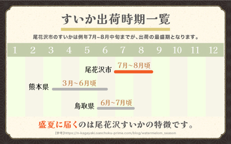 先行予約 尾花沢スイカ 2~3Lサイズ(約7~8kg)×2玉 7月下旬~8月中旬頃発送 令和7年産 2025年産 農産センター すいか 西瓜 ※沖縄・離島への配送不可 ns-su23x2