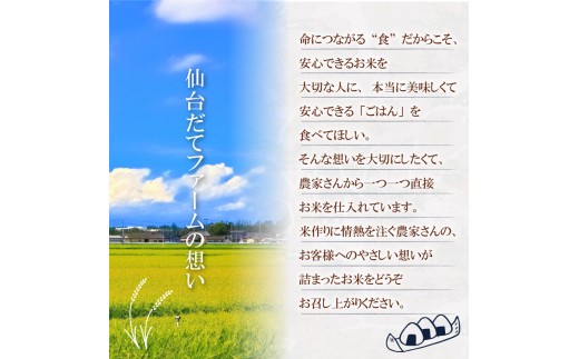 【 令和8年産 】 新米 宮城県産 つや姫 精米 10kg (5kg×2袋) 先行予約 単品 一等米 米 つやひめ tsuyahime tuyahime 令和8年産 東北米 ふるさと納税 米 お米 白