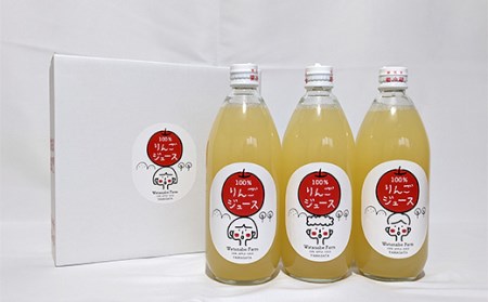 山形県中山町産 サンふじりんご100%ジュース 600ml×3本 令和5年産のりんご使用 2023年12月上旬より発送開始 渡辺ファーム F4A-0360