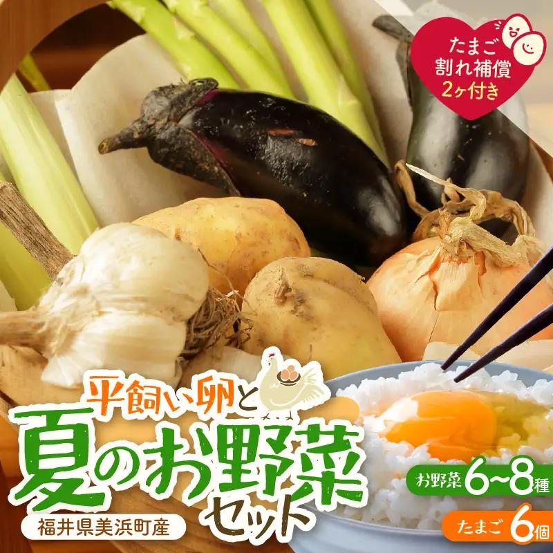 【先行予約】お野菜セット 旬の夏野菜と平飼い卵のお楽しみボックス【2026年7月上旬以降順次発送予定】 [m75-a002]