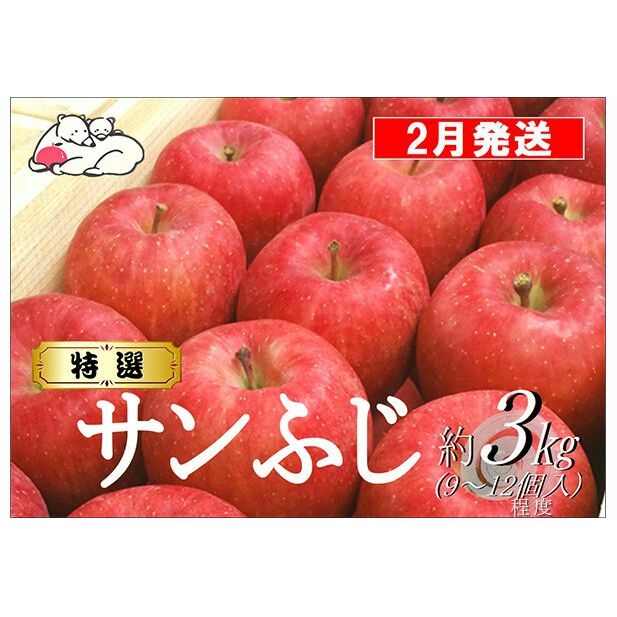 【2月発送】白熊 特選 サンふじ 絆 約3kg 糖度13度【弘前市産 青森りんご 果物 フルーツ 食後 デザート シャキシャキ ジューシー りんごの王様  】