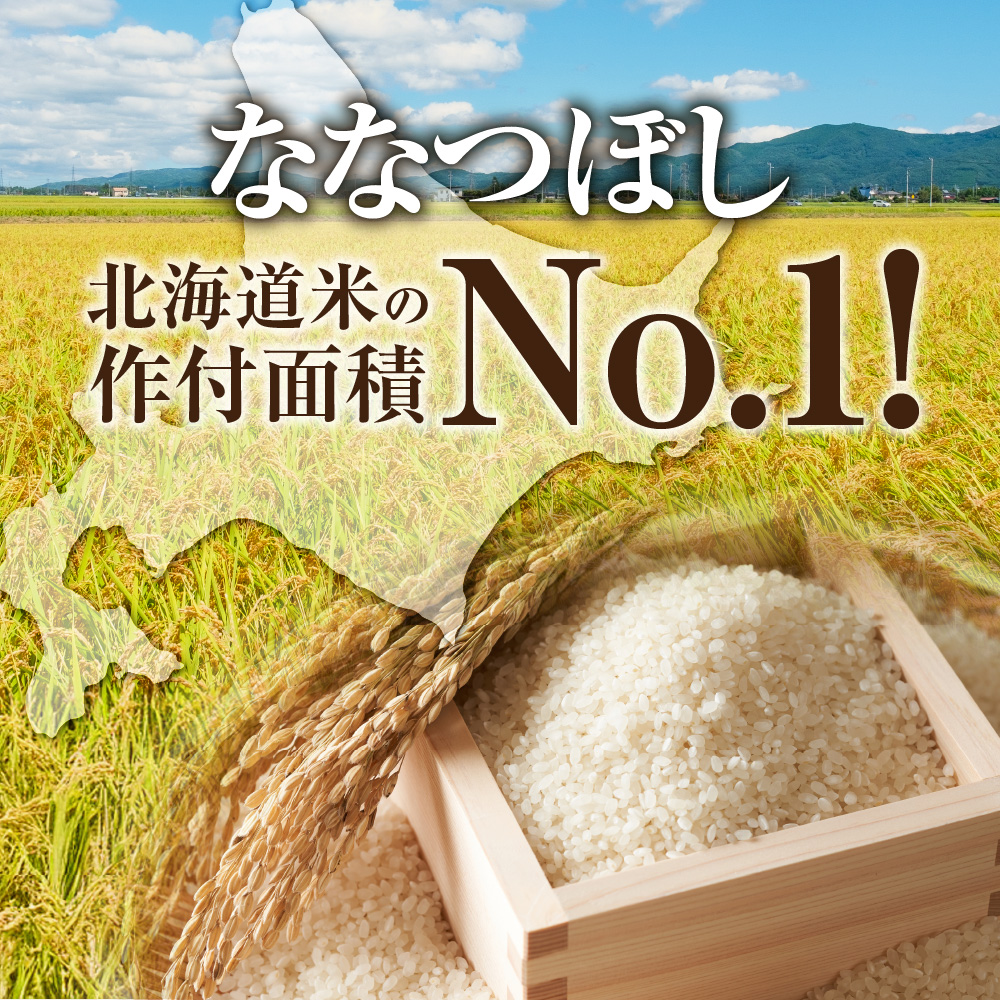 地物市場とれのさと ななつぼし 10kg（5kg×2）