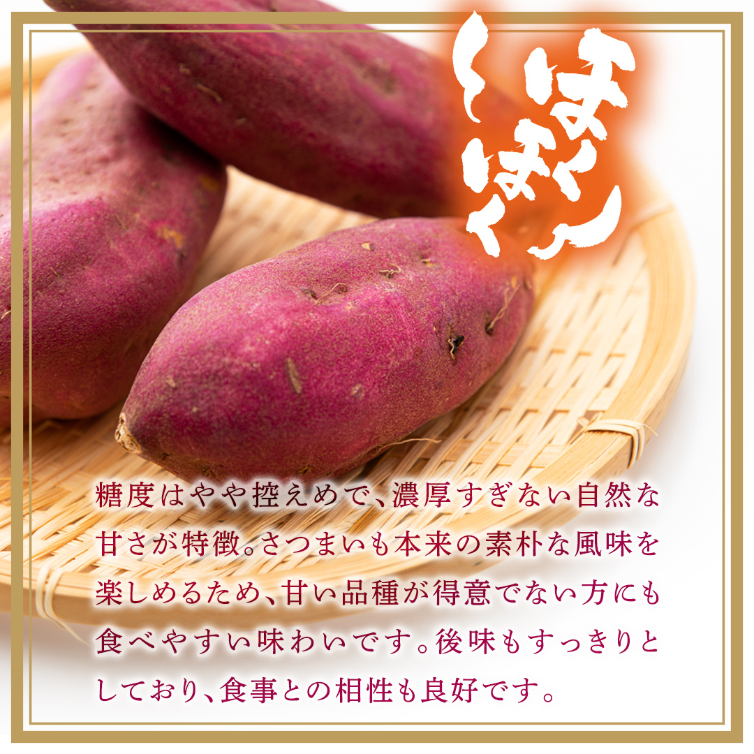 紅あずま 約2.5kg （6回 定期便 ）（茨城県共通返礼品 [さつまいも]：行方市産） 6か月定期便 定期便 さつまいも サツマイモ べにあずま 芋 いも 野菜 根菜  茨城県産 お取り寄せ 野菜 