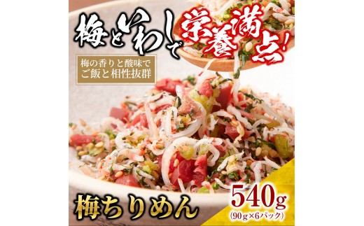 
            梅 ちりめん 540g(90g×6)【ちりめんじゃこ しらす 小分け 便利 お取り寄せ グルメ 香川県 さぬき市】
          