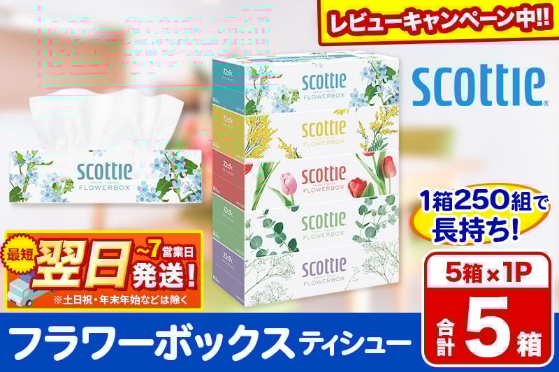 
            スコッティ ティッシュペーパー フラワーボックス 5箱×1パック【レビューキャンペーン中】 秋田市オリジナル
          