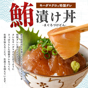 【指宿直送便海鮮】マグロ漬け丼と天然真鯛茶漬けセット各5パック(指宿山川水産/A-341)【天然 真鯛 鯛 茶漬け 魚茶漬け 海鮮茶漬け 魚 さかな 総菜 惣菜 そうざい 簡単 調理 職人 オリジナル