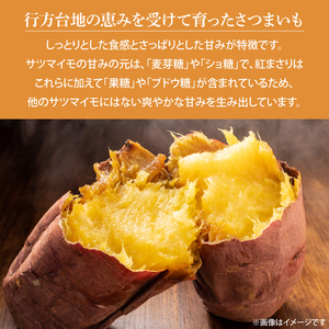 【緊急支援品】無選別 行方台地のさつまいも 熟成紅まさり 約10kg｜さつまいも 芋 サツマイモ いも 紅まさり 無選別 熟成 茨城県 行方市(CU-300-1)