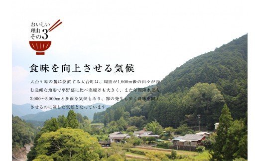 超特Ａ　奥伊勢米　つぶら　２kg／宮川TK　食味値８０％以上　みえの安心食材　認定米　ブランド米　三重県　大台町