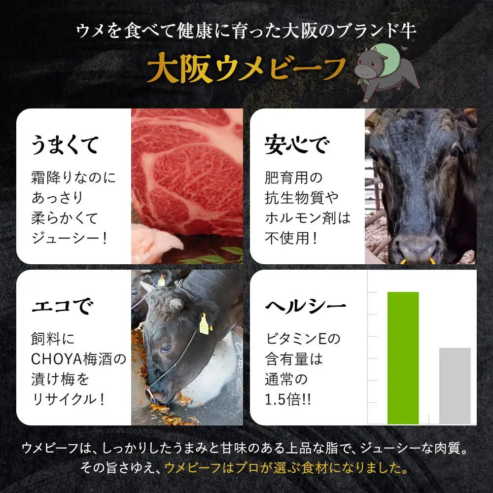 大阪ウメビーフ　切り落とし500g