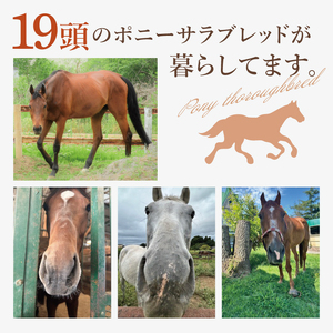 ホースセラピー・癒しコース（120分）（EY-1）