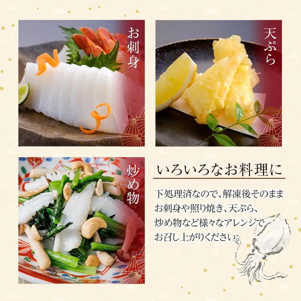 むき身あおりいか 約500g(3～5尾入り) 下処理済 冷凍 小分け | いか