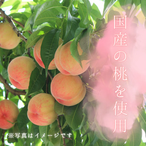 メルカドレグメス　ドライフルーツ　桃 ／ ドライフルーツ フルーツ 果物 くだもの 桃 もも モモ 自家製