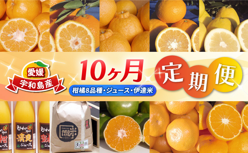 
            みかん定期便 柑橘定期便 10ヶ月 定期便 ワールドファーマーズ 10回定期便 ポンカン 伊予柑 不知火 甘夏 河内晩柑 ジュース 米 極早生 早生 南柑20号 みかん 柑橘 愛媛みかん 愛媛ミカン 蜜柑 mikan 温州みかん 農家直送 産地直送 数量限定 国産 愛媛 愛媛県産 宇和島 B100-024014
          