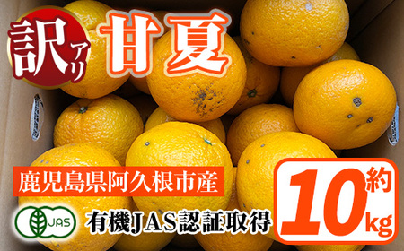 訳あり！有機JAS 甘夏(約10kg) 国産 果実 果物 フルーツ 柑橘 デザート 訳アリ 期間限定 有機栽培 【中村農場】akn084-07