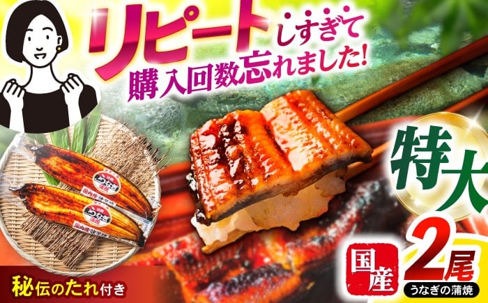 
            【最速発送】＜諫早淡水＞特大うなぎ蒲焼2尾 / うなぎ ウナギ 鰻 特大 蒲焼き ウナギ蒲焼 国産 冷凍 うな重 うな丼 ウナギ ひつまぶし / 諫早市 / 諫早淡水 [AHAT014]  最速 最短 スピード 発送 
          