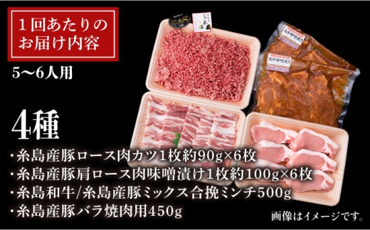 【使いやすい豚肉＆牛肉セット】毎日のメインのおかずを彩る 精肉 セット 4種 計約2�s 5〜6人前《糸島》【糸島ミートデリ工房】 [ACA204]