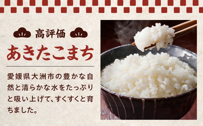  あきたこまち 5kg  おむすび クリーン精米 お米 ご飯 おにぎり ごはん 白米 和食 おコメ  日本食 おこめ 