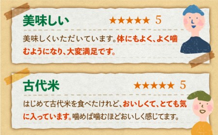 【全6回定期便】古代七穀米（500g×2個セット）【だいちの家】雑穀 雑穀米[HAG009]