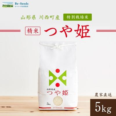 ふるさと納税 川西町 令和7年産　山形県産　つや姫　5kg