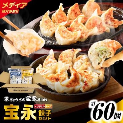 ふるさと納税 苫小牧市 手包み餃子ぎょうざの宝永 チーズ餃子60個セット(宝永餃子15個入×2袋・チーズ餃子15個入×2袋)