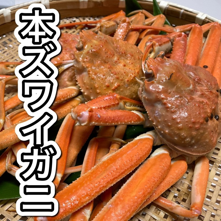 
                  【訳あり】浜茹で 本ズワイガニ 足欠「雄ガニ 2杯（約600g）」 1043006 蟹 かに ずわい蟹 ズワイガニ
                