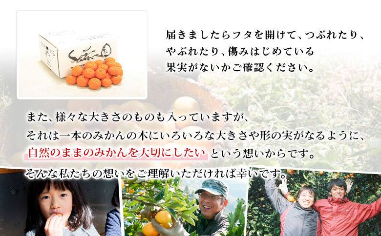 【先行予約】＜無茶々園 温州みかん 約10kg＞ 果物 くだもの ミカン 蜜柑 柑橘 フルーツ うんしゅうみかん 贈り物 ギフト おいしい 期間限定 季節限定 食べて応援 特産品 愛媛県 西予市