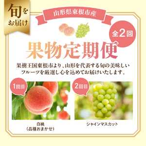 【2026年先行予約 全2回 定期便】東根市産 桃、シャインマスカット 果物定期便 （玉数、房数お任せ）　hi074-020 （令和8年産 2026年産 ふるさと納税 もも 桃 モモ ピーチ 白桃 ぶ