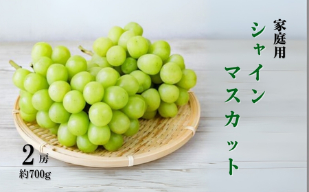 【2026年先行予約】訳あり シャインマスカット 約700g（2房） | シャインマスカット