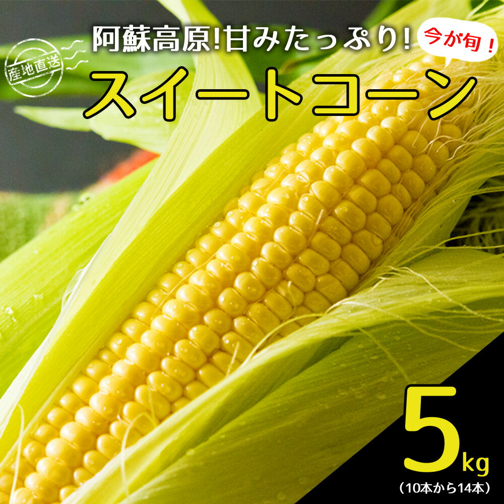 【ふるさと納税】コーン スイートコーン とうもろこし トウモロコシ 季節限定 約5kg （10〜14本） 採れたて野菜 恵味ゴールド 恵味スター ドルチェドリーム 期間限定 旬 甘い 美味しい 鮮度 バーベキュー BBQ 夏休み おやつ 熊本県 阿蘇市