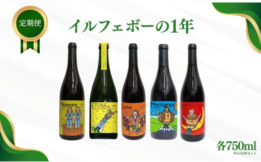 【定期便 4回】ワイン 計5種 季節ごとにお届け｜ 洋酒 お酒 白ワイン 赤ワイン スパークリング シャルドネ ゲヴュルツトラミネール メルロー カベルネ・ソーヴィニヨン 千曲市 長野県産 信州