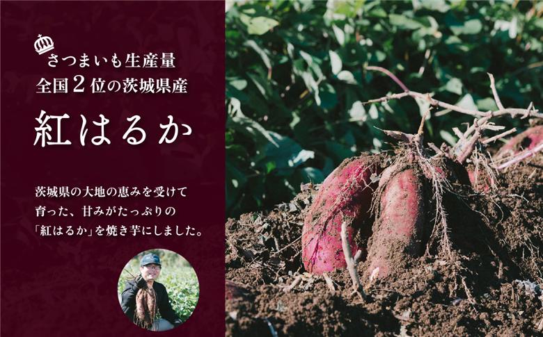 【 訳あり 】 冷凍焼き芋 紅はるか 1.5kg 【 さつまいも さつま芋 サツマイモ 焼芋 やきいも スイーツ 甘味 わけあり 人気 おやつ スイートポテト 大学芋 大学いも 】[SZR] 【訳あり