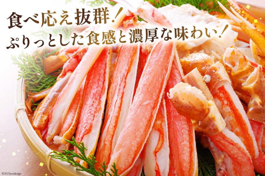 カット済 ずわいがに むき身セット 総重量1.5kg(750g×2p) かにしゃぶ かに鍋 正味重量1.2kg [カネダイ 宮城県 気仙沼市 20564319] かに カニ ずわいがに ずわい 蟹 棒