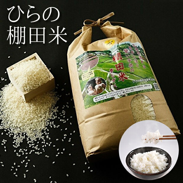【ふるさと納税】【令和7年産 新米 予約】 棚田米 夢しずく 精米 白米 4.5kg 玄米 5kg ひらの棚田米 | 精米 白米 4.5キロ 玄米 5キロ こめ コメ 米 白米 ごはん _b-246