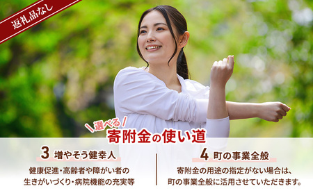【返礼品なし】長野県軽井沢町 寄附のみの応援受付 10,000円コース（返礼品なし 寄附のみ 10,000円）
