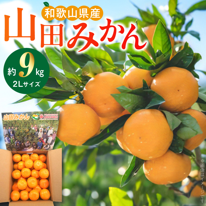 【2026年先行予約】山田みかん約9kg（2Lサイズ）_AM6005