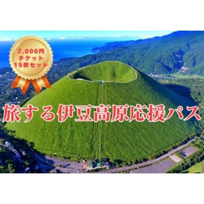 【伊豆高原】＼温泉・宿泊・体験に!/2,000円パス15枚セット