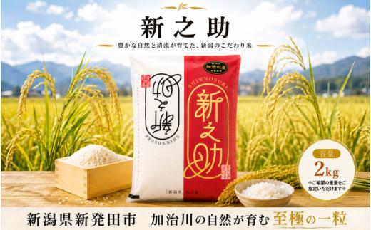 【加治川産新之助】 令和7年産  新潟県産 新之助 2kg   新潟県 新発田市 加治川産  新発田産 新潟 ふるさと納税 精米 米 お米  新之助 白米 米 お米 こめ コメ ライス ご飯 ごはん 美味しい 贈り物 国産 新潟県 新発田市 お取り寄せ 令和7年産米 産地直送 GAP認証 JGAP アグリ加治川 agk004