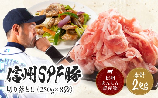 【訳あり】 信州SPF豚 切り落とし 2kg ( 250g×8袋 ) | 訳あり 不揃い SPF豚 豚 豚肉 ポーク お肉 切落し 肉 信州 南信州 送料無料 ふるさと納税 長野県 飯田市