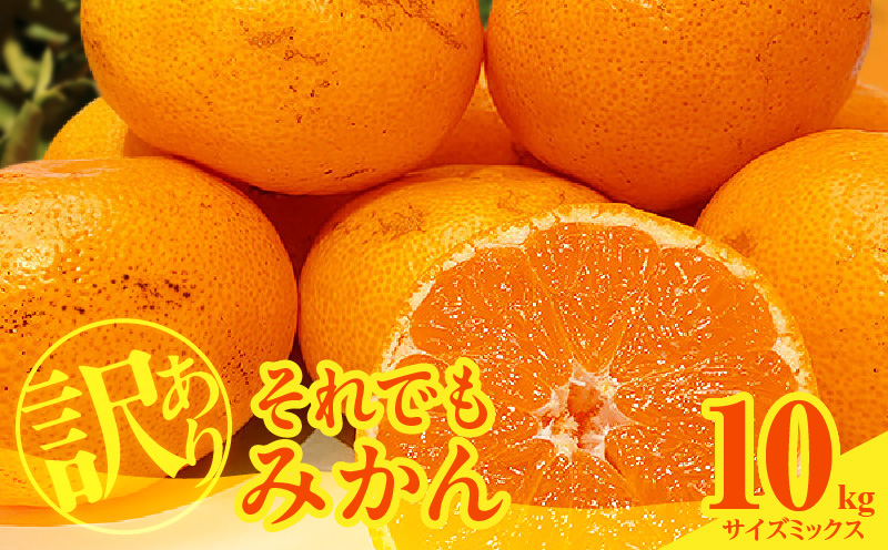 MK1036_訳あり それでも みかん 箱込 10kg ( 内容量 9.2kg ) サイズミックス Ｂ品 有田みかん 和歌山県産 産地直送 家庭用【みかんの会】<br>