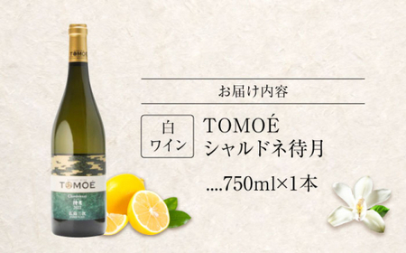 TOMOE シャルドネ 待月 白ワイン 辛口 750ml 1本 ワイン 受賞 ギフト 三次市/広島三次ワイナリー[APAZ011]