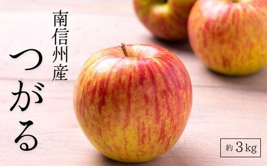 りんご農家直送！松川町産つがる